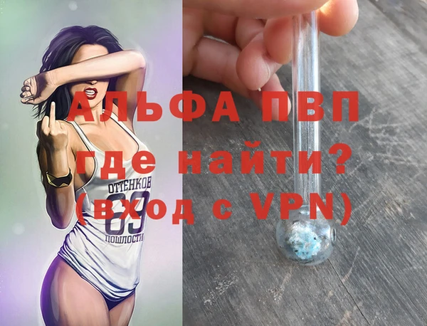 хмурый Абаза