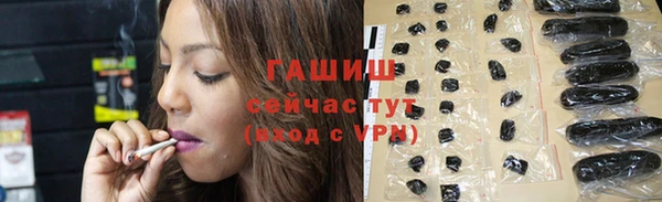 хмурый Абаза