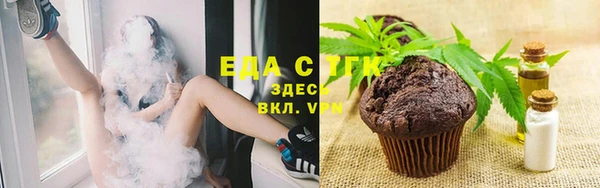 хмурый Абаза