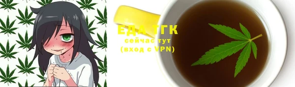 хмурый Абаза