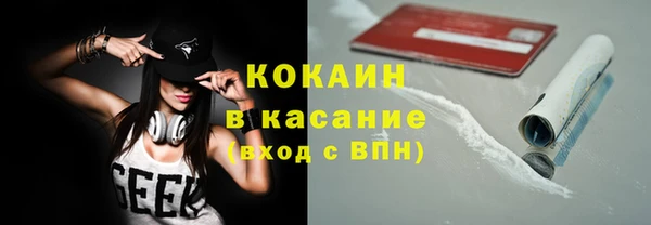 хмурый Абаза