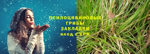 сатива Абинск