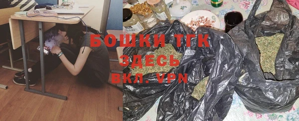сатива Абинск