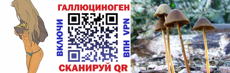 купить наркотик  hydra маркетплейс  Галлюциногенные грибы MAGIC MUSHROOMS  Южа 